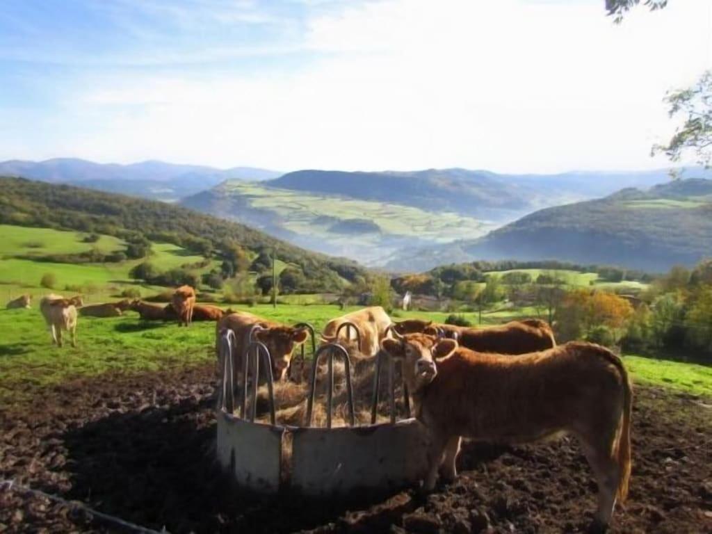 Arteondo